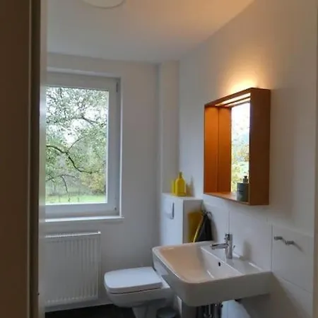 Ferien-und Monteurwohnung 'friedersdorfer Muehle' 아파트 Pressig