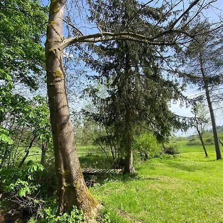 Ferien-und Monteurwohnung 'friedersdorfer Muehle' Pressig