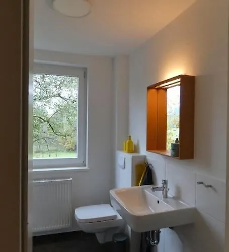 Ferien-und Monteurwohnung 'friedersdorfer Muehle' Apartmán Pressig