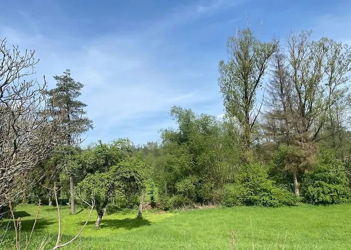 Ferien-und Monteurwohnung 'friedersdorfer Mühle' Apartment Pressig